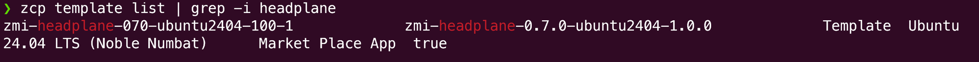 zcp template list output showing the Headplane template