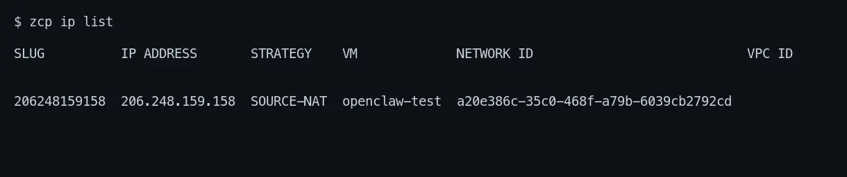 zcp ip list showing the source-NAT public IP for the VM