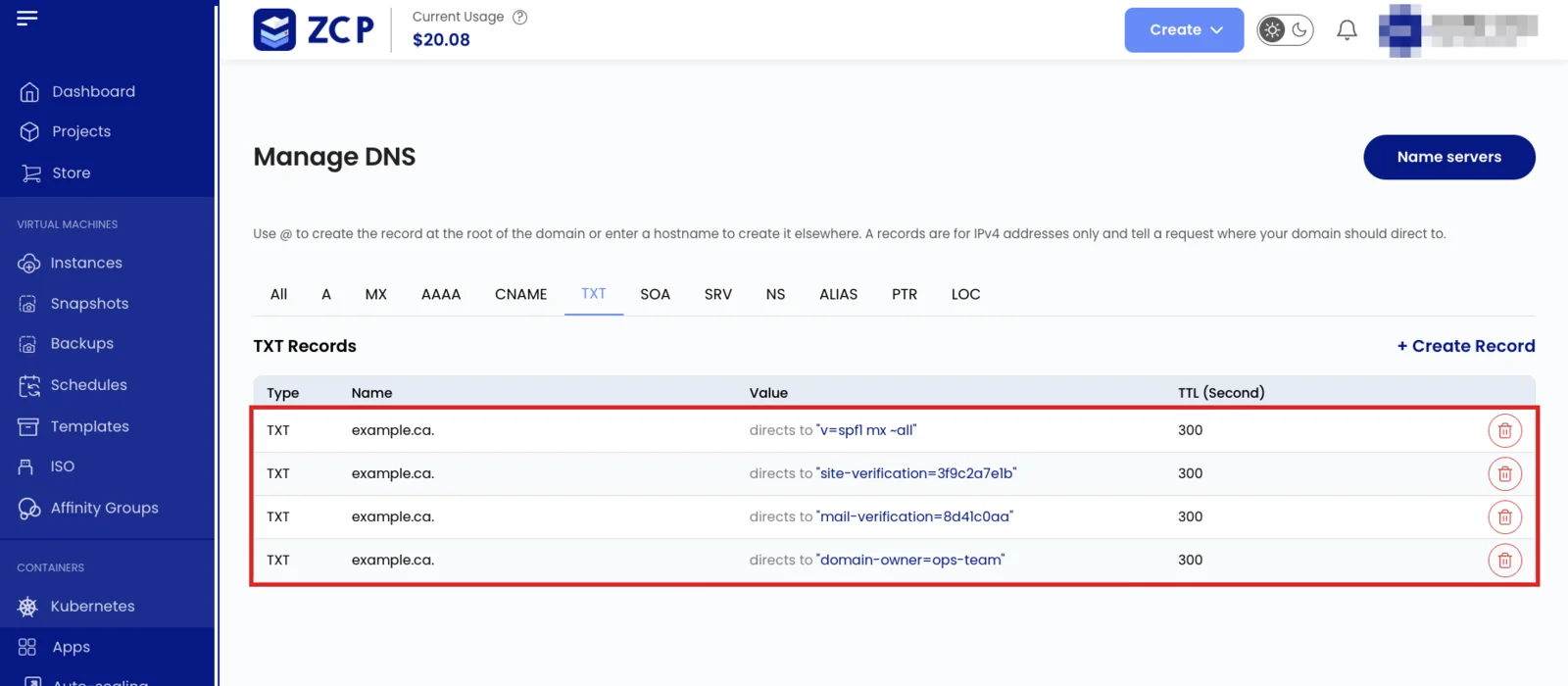 Four TXT values at the apex of example.ca in the DNS console